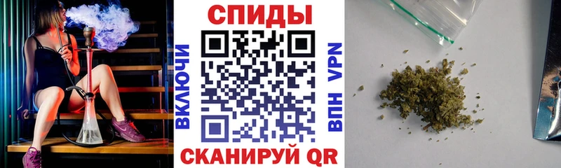 БУТИРАТ буратино  Купить где  Бородино 